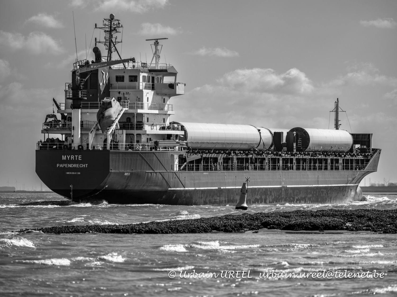 MYRTE (°2008)  1 APR 2024